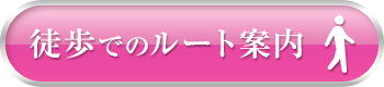 徒歩でのルート案内